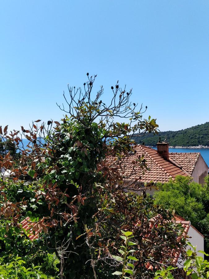 Adriatic Apartments Dubrovnik Dış mekan fotoğraf