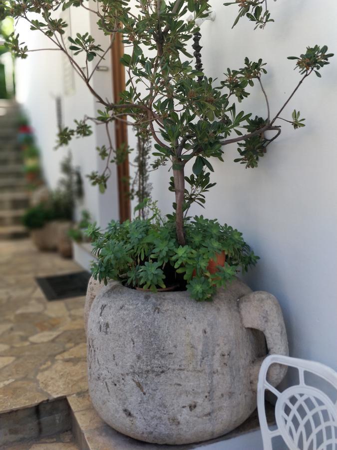 Adriatic Apartments Dubrovnik Dış mekan fotoğraf